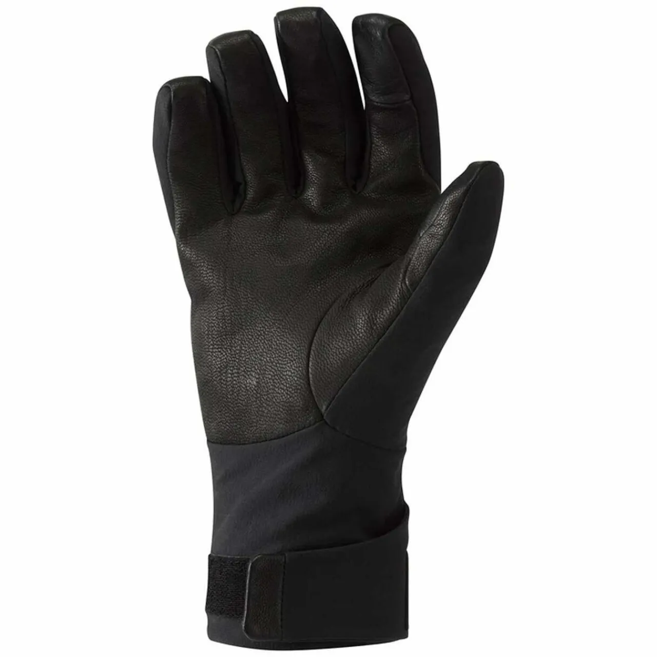 New Alpine Resolve Gore-Tex Gloves Gloves