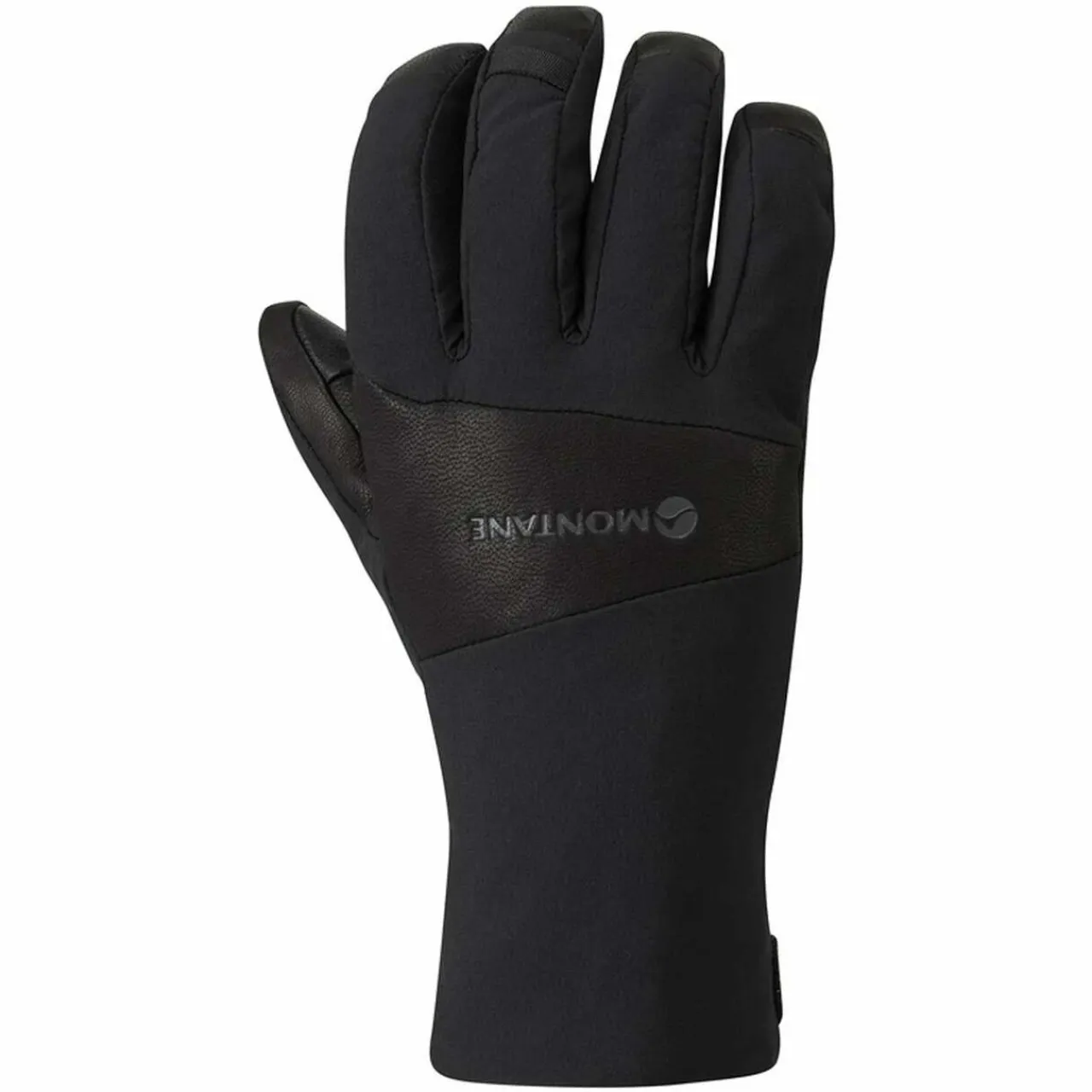 New Alpine Resolve Gore-Tex Gloves Gloves