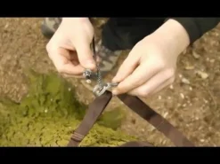 DD Soft Shackle Karabiner x2 - Regular Accessories