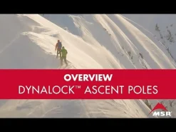 Best DynaLock Ascent Carbon Poles Trekking Poles