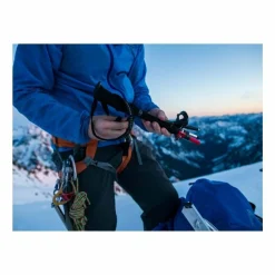 Best DynaLock Ascent Carbon Poles Trekking Poles