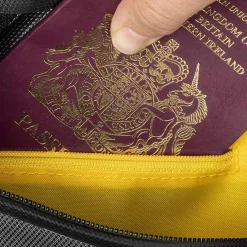 Best Expedition Frame Pack 4.5L Bikepacking