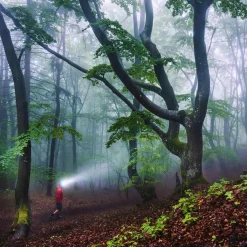 Hot HF8R CORE Rechargeable Head Torch Head Torches