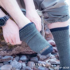 Online Micro Crew Socks Socks