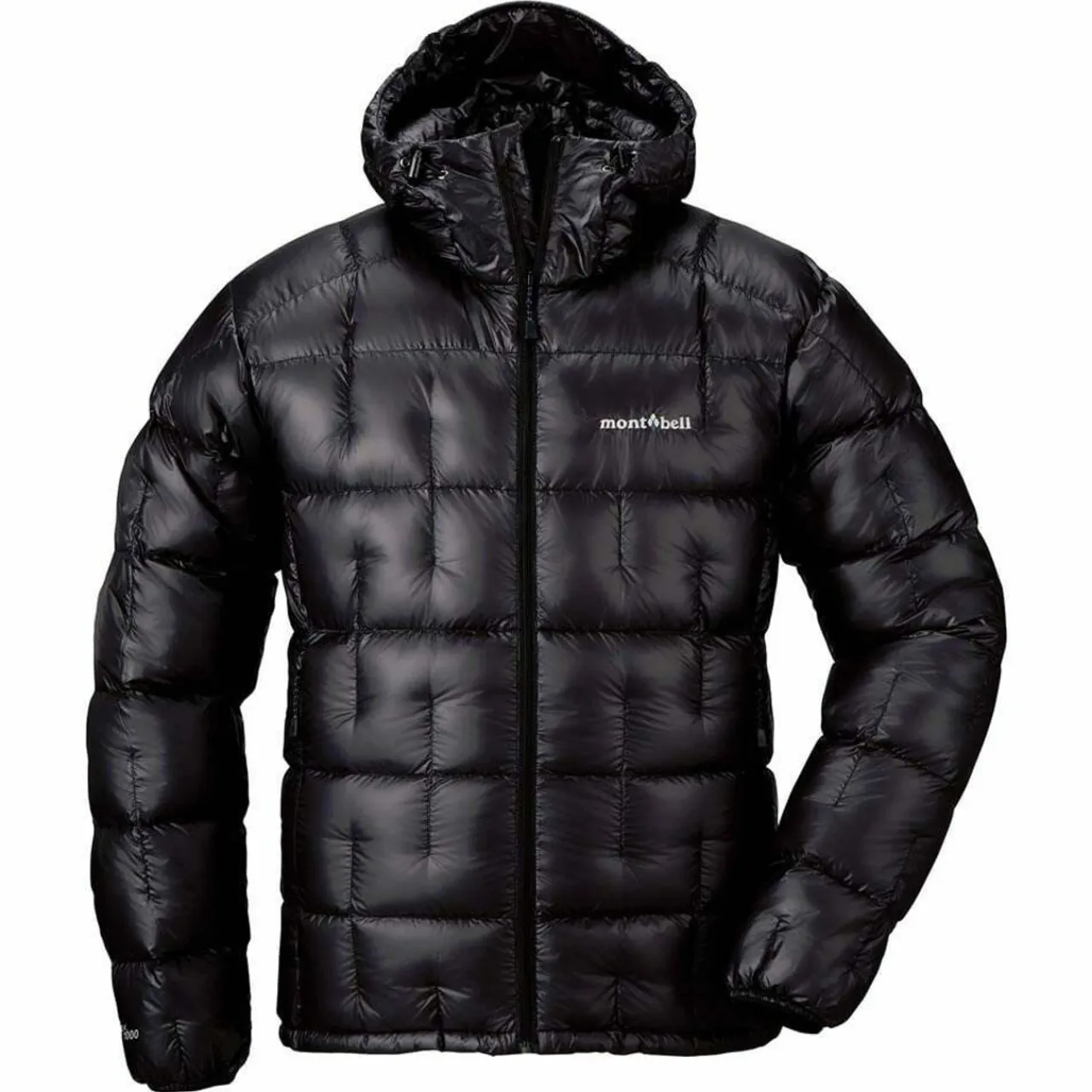 Plasma 1000 Alpine Down Parka Down Jackets