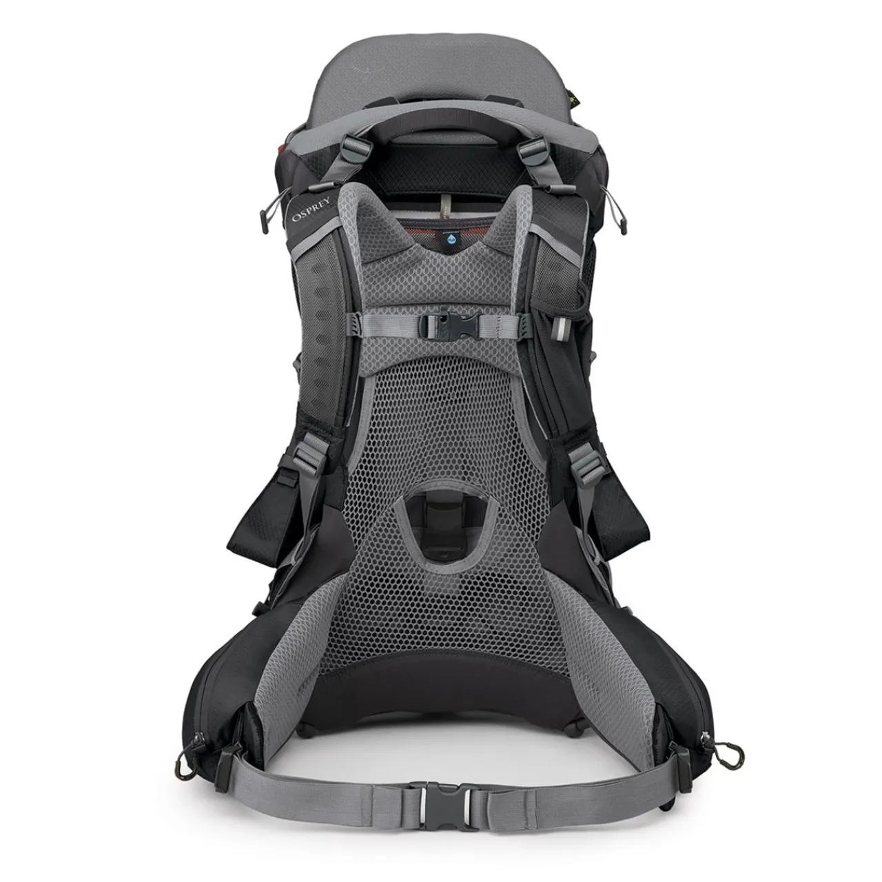 New Poco Premium Child Carrier with Raincover Child Carriers