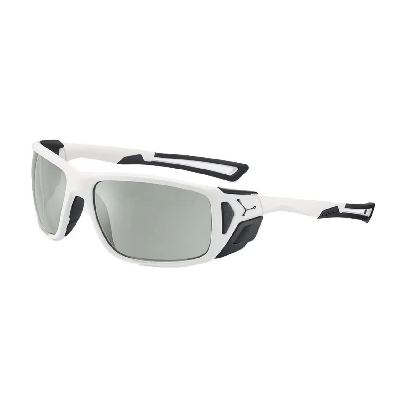 Sale Proguide Sunglasses with Vario Green Silver Cat 2-4 Lens Sunglasses