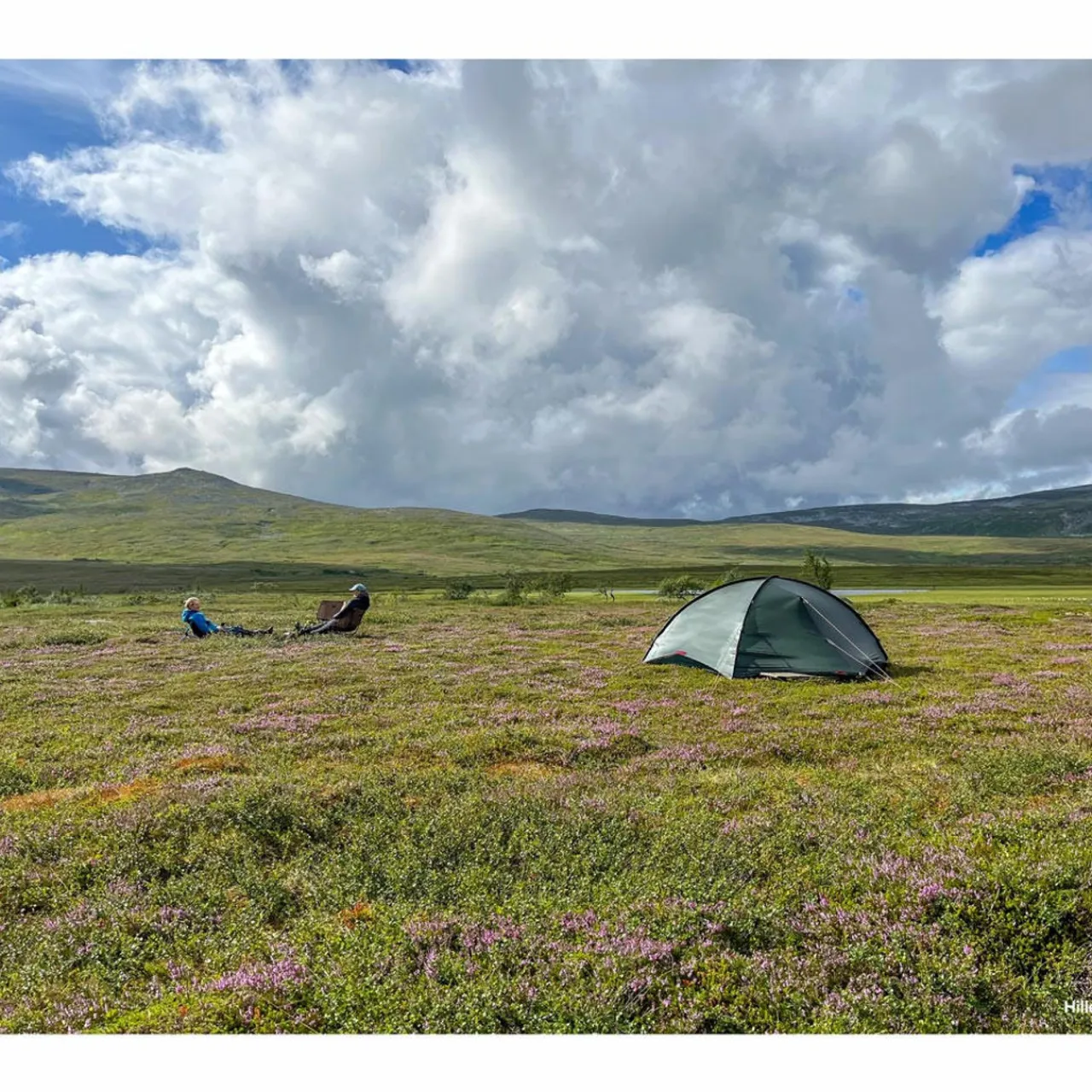 Hot Rogen 3 Person Tent Three+ Person Tents