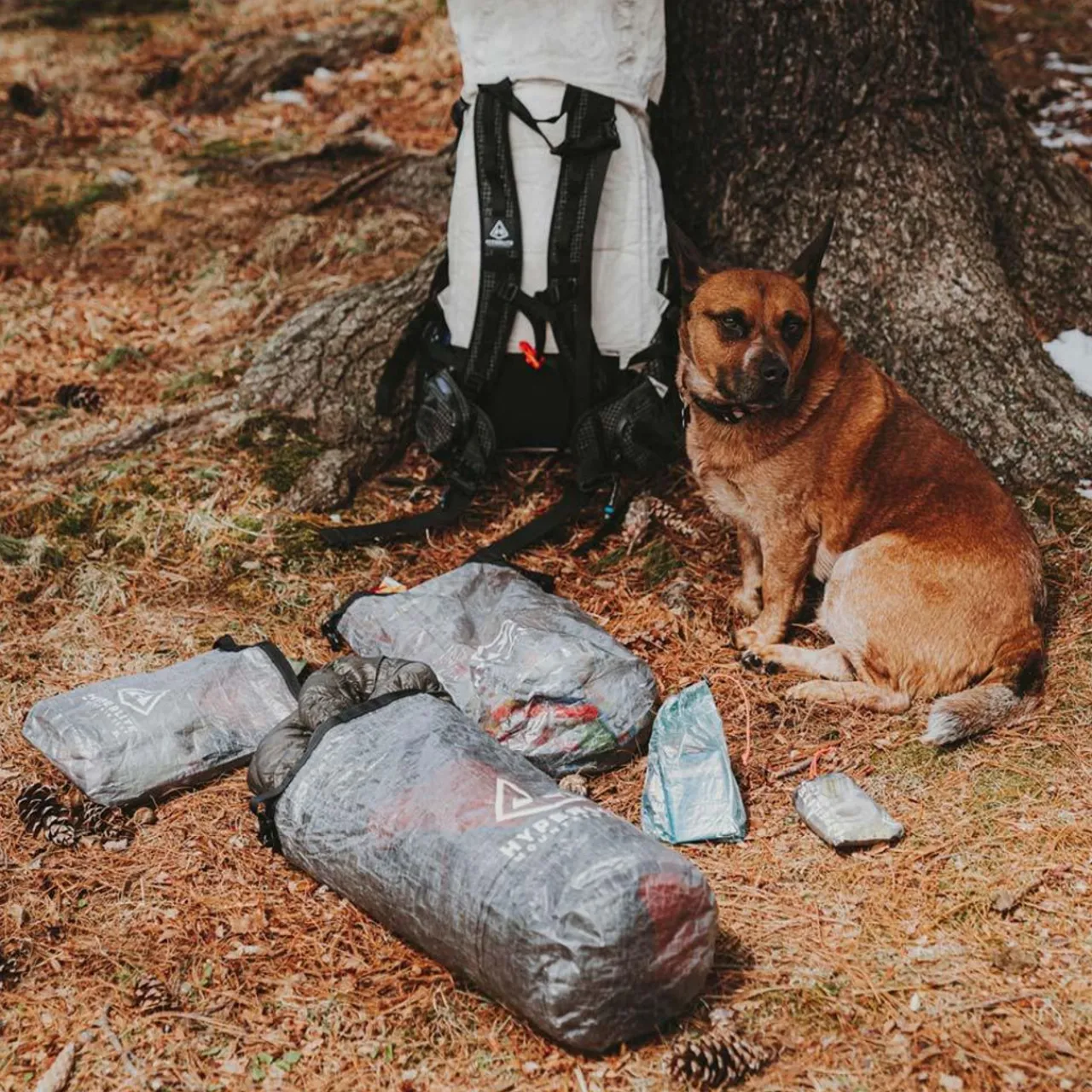 Sale Roll-Top Stuff Sacks Stuffsacks