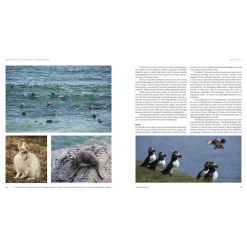 Discount Scottish Wild Country Backpacking Maps, Guides & Compasses