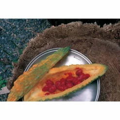 Best Tableware Plate L Cups Mugs Plates & Bowls