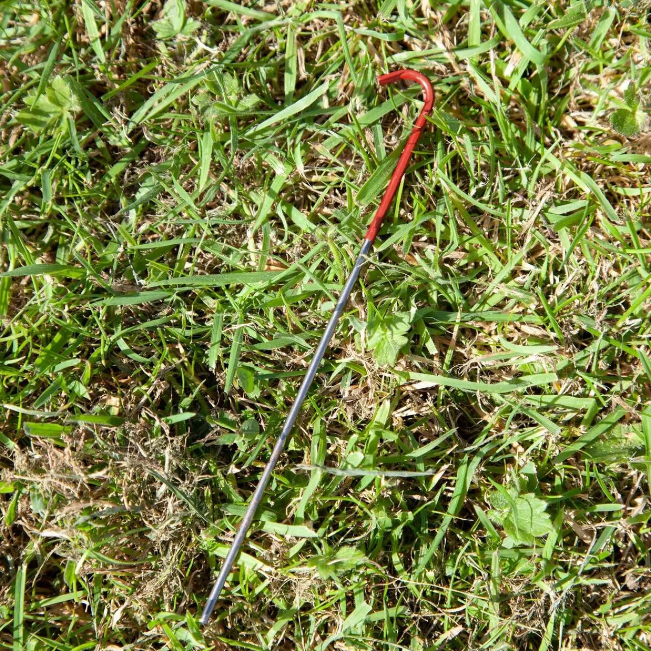 Discount Titanium Pin Peg Tent Accessories