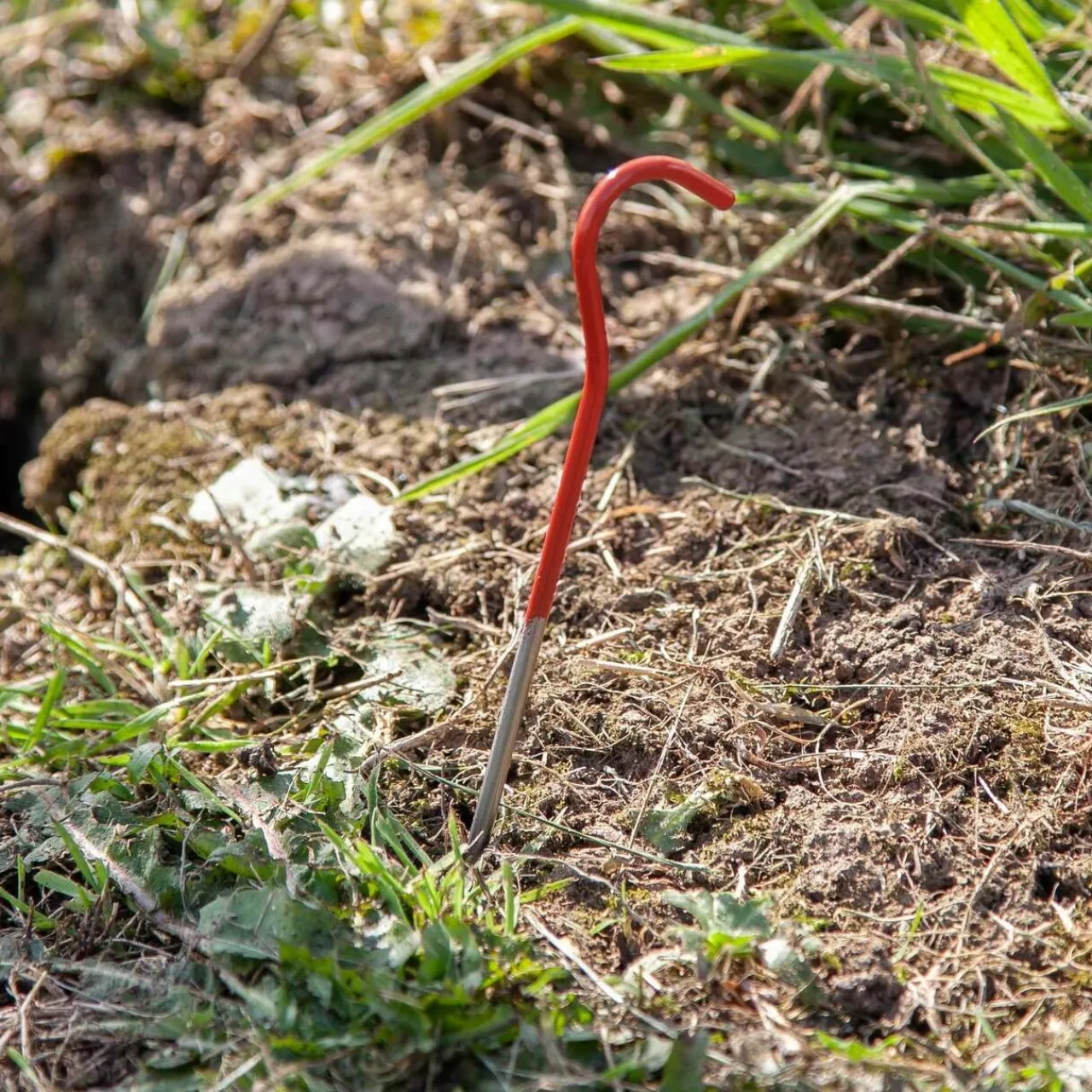 Outlet Titanium Wire Peg Tent Accessories