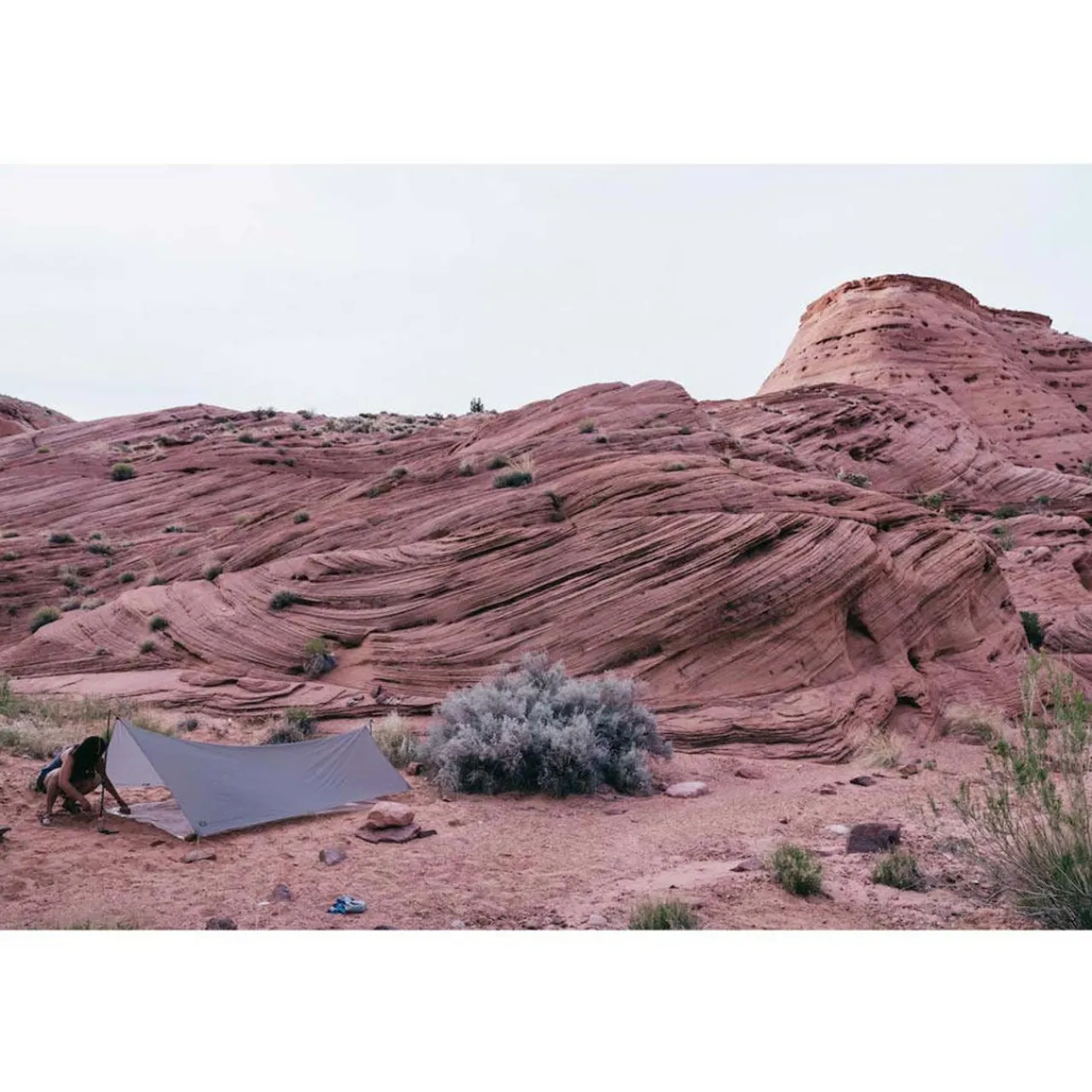 Best Twinn Tarp Tarps