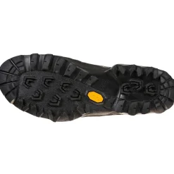 Online TX5 GTX Hiking Footwear