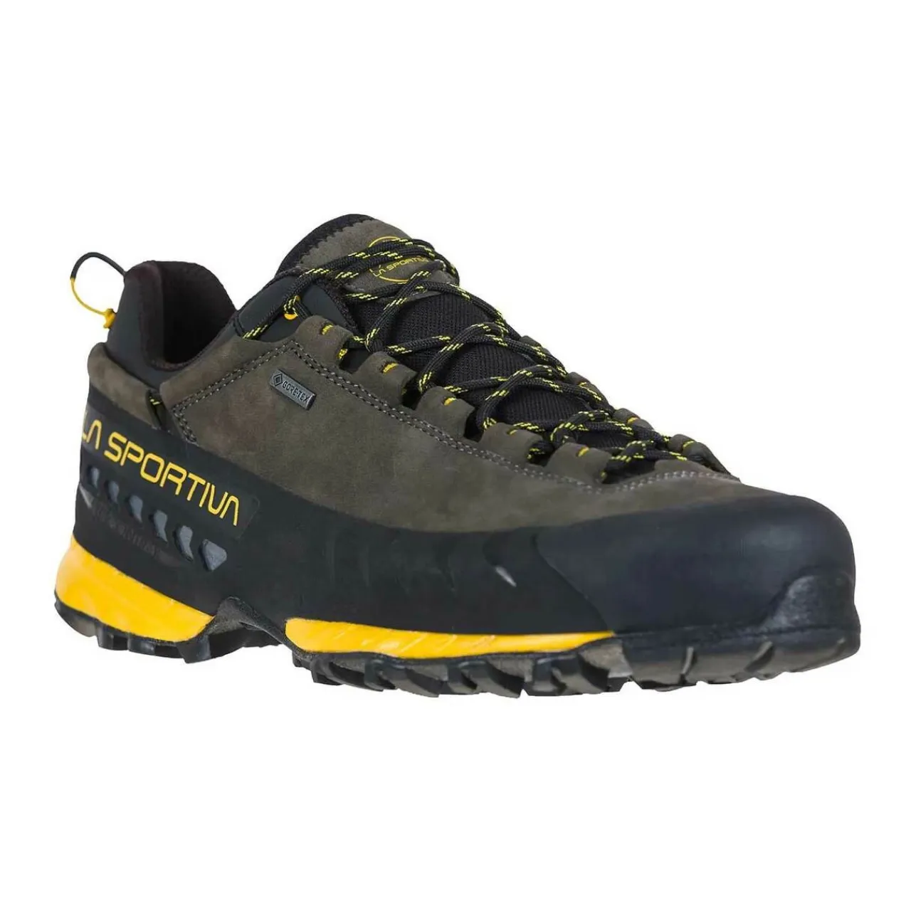 TX5 Low GTX Hiking Footwear