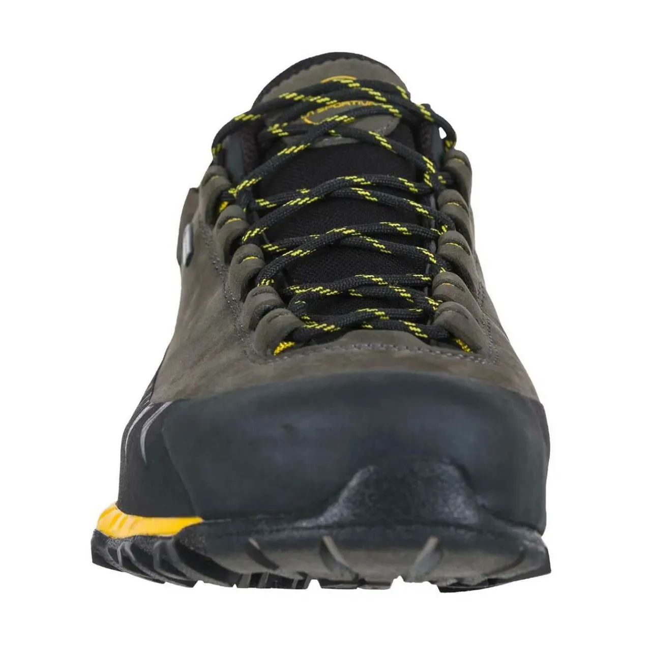 TX5 Low GTX Hiking Footwear