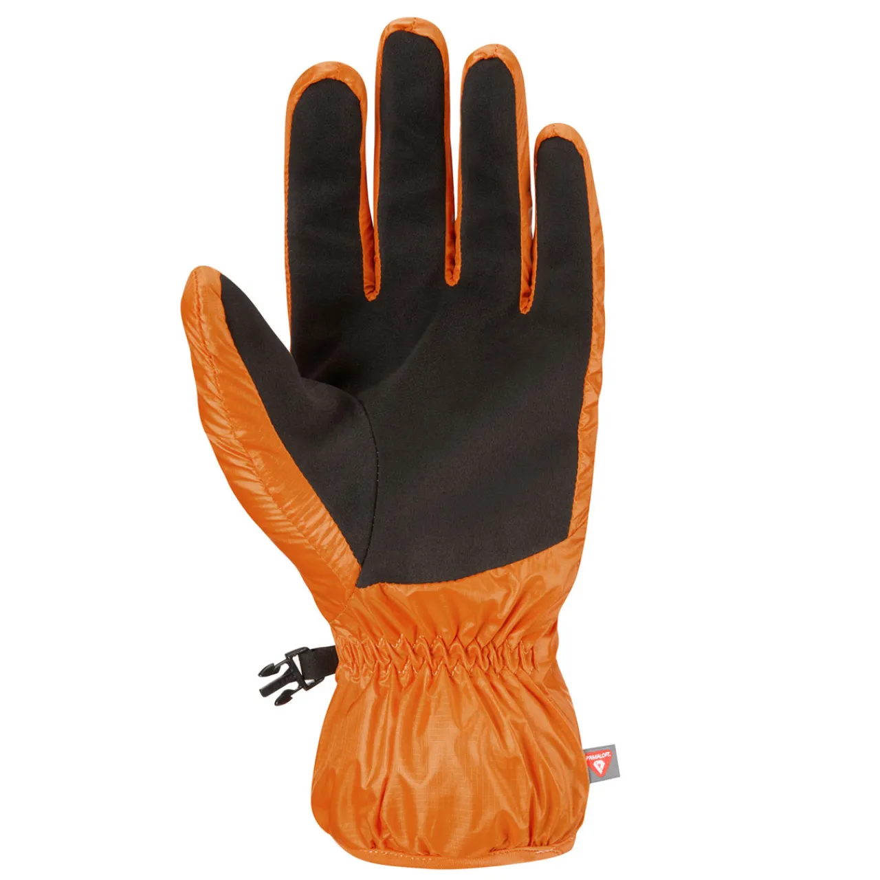 Online Xenon Gloves Gloves